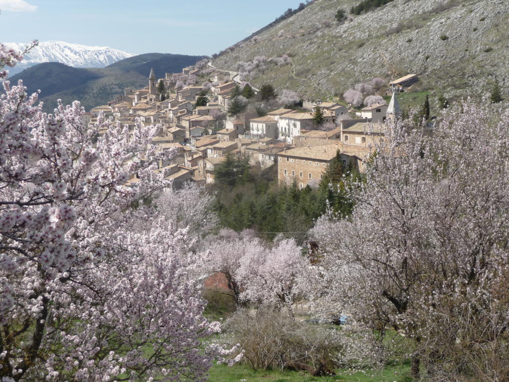La Bifora E Le Lune Vico Sotto Gli Archi 5